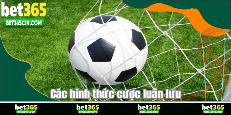 Các hình thức cược luân lưu