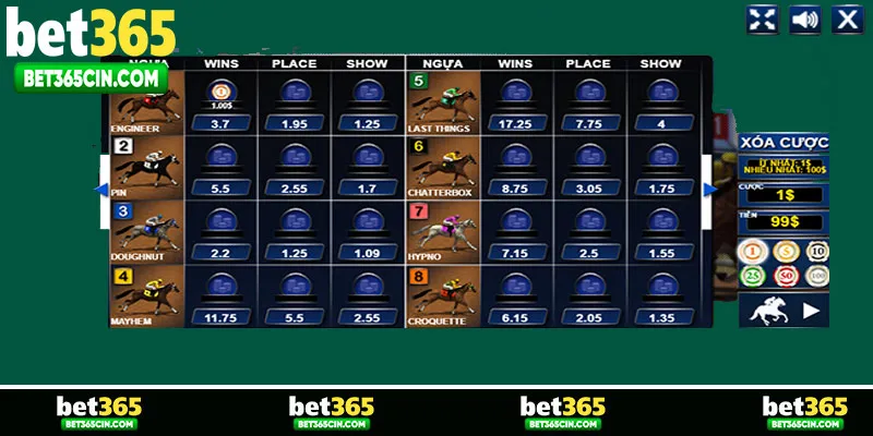 Hướng dẫn đọc kèo trong đua ngựa