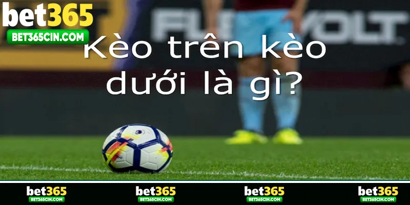 Kèo Trên Kèo Dưới Là Gì? Soi Kèo Hiệu Quả Nhất Cho Tân Binh