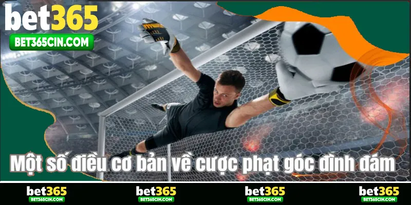 Một số điều cơ bản về cược phạt góc đình đám
