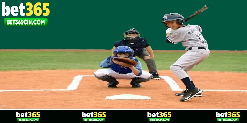 Những giải đấu bóng chày lớn