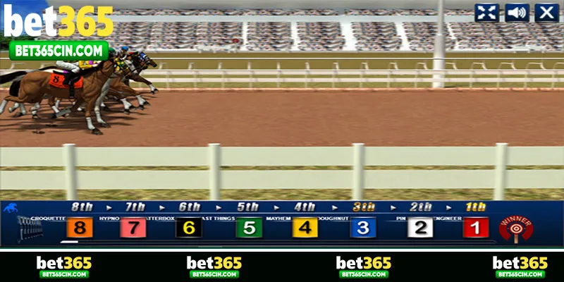 Sự đặc biệt của các kèo đua ngựa