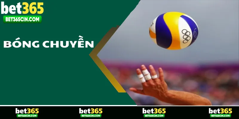 Giới thiệu chung về hình thức cược bóng chuyền